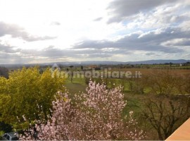 Vendita Appartamento Arezzo. Quadrilocale, Buono stato, rif. 76771860 Vendita Appartamento Arezzo. Q