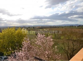 Vendita Appartamento Arezzo. Quadrilocale, Buono stato, rif. 76771860 Vendita Appartamento Arezzo. Q