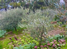 Vendita Villa bifamiliare Arezzo. Ottimo stato, posto auto, con terrazza, riscaldamento autonomo, 18