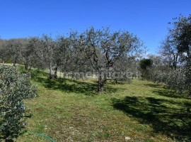 Vendita Villa bifamiliare Arezzo. Buono stato, posto auto, con terrazza, riscaldamento autonomo, 250