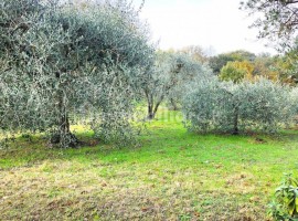 Vendita Villa a schiera Arezzo. Buono stato, posto auto, con balcone, riscaldamento autonomo, 255 m²