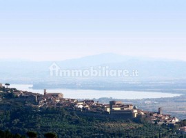 Vendita Casale in Cortona Arezzo. Ottimo stato, posto auto, 10333 m², rif. 103094488 Vendita Casale 