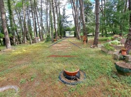 Vendita Terratetto unifamiliare in Loc. Fontemura Arezzo. Da ristrutturare, posto auto, con terrazza