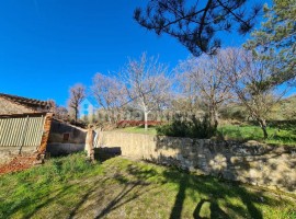 Vendita Casa colonica in Loc. Policiano Arezzo. Buono stato, posto auto, 400 m², rif. 101510481 Vend