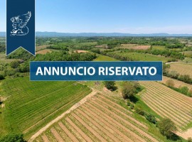 Vendita Casale in Località Pomaio Arezzo. Buono stato, posto auto, 1500 m², rif. 114045237 Vendita C