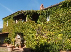 Vendita Villa unifamiliare in via Del Barbino Arezzo. Buono stato, posto auto, con terrazza, riscald, Italy, Arezzo