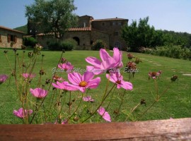 Vendita Casale in Località Badicroce Arezzo. Ottimo stato, posto auto, 980 m², rif. 112355567 Vendit