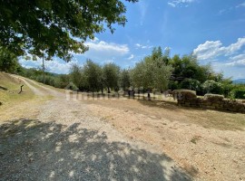 Vendita Casa colonica in Località Ampinana Vicchio. Ottimo stato, posto auto, 160 m², rif. 114400651