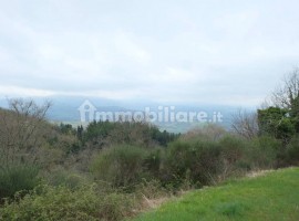 Vendita Casale in frazione Paterno Vicchio. Da ristrutturare, posto auto, 330 m², rif. 111701479 Ven