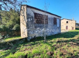 Vendita Casa colonica in via Macinaia Lastra a Signa. Da ristrutturare, posto auto, 300 m², rif. 109