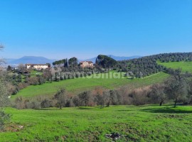 Vendita Casa colonica in via Macinaia Lastra a Signa. Da ristrutturare, posto auto, 300 m², rif. 109