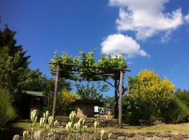 Vendita Casa colonica in via di Lamole Greve in Chianti. Posto auto, 380 m², rif. 85360565 Vendita C