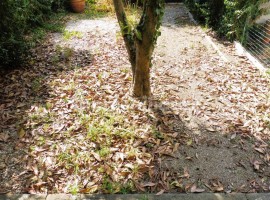 Vendita Terratetto unifamiliare in viale Giovanni Boccaccio 109 Empoli. Da ristrutturare, con balcon