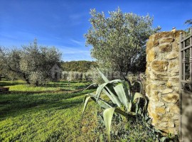 Vendita Villa unifamiliare in via Campolivo Lastra a Signa. Ottimo stato, posto auto, con terrazza, 