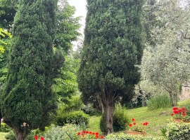 Vendita Villa unifamiliare in via Belisario Vinta Firenze. Buono stato, posto auto, con terrazza, ri