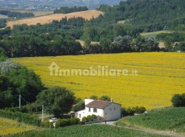 Vendita Casa colonica in via Ortimino Montespertoli. Buono stato, 245 m², rif. 114468017 Vendita Cas