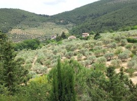 Vendita Casa colonica in Località Leccio Calenzano. Buono stato, posto auto, 200 m², rif. 112987943 