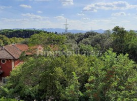 Vendita Appartamento in via delle Porcellane. Sesto Fiorentino. Nuovo, piano terra, con terrazza, ri, Italia, Sesto Fiorentino