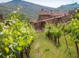 Vendita Casale in via Paolo Mantegazza Greve in Chianti. Ottimo stato, posto auto, 290 m², rif. 1100