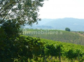 Vendita Casale in via Paolo Mantegazza Greve in Chianti. Ottimo stato, posto auto, 290 m², rif. 1100