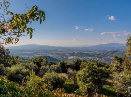 Vendita Rustico in Località Puliciano Arezzo. Ottimo stato, posto auto, 450 m², rif. 113194637 Vendi