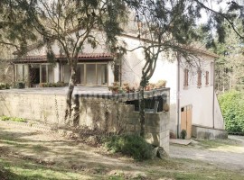 Vendita Casa colonica in Località San Firenze Arezzo. Da ristrutturare, posto auto, 400 m², rif. 728