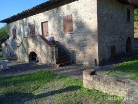 Casa in pietra con grande giardino e bosco privato