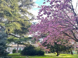 Villa 'Giacinti' con giardino privato e Wi-Fi, Italia, Padova, Provincia Di Padova