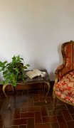 Villa 'Giacinti' con giardino privato e Wi-Fi, Italy, Padova, Provincia Di Padova