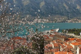 Apartment Kotor Old Town 303