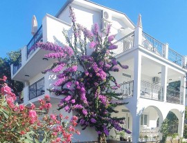 Apartments Prova ****, Montenegro, tivat