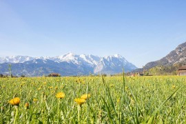 Appartamento vacanze per 3 persone con balcone, Germany, Farchant, Alpi Bavaresi