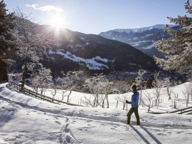 Appartamento vicino al comprensorio sciistico, Austria, Kitzbühel, Alpi di Kitzbühel