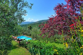 La Ruota, Italia, Bucine (Gemeinde), Chianti