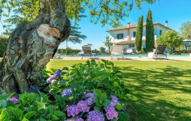 Casa vacanza per 18 persone con giardino, Italy, Bagnoregio, Provincia di Viterbo