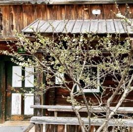 Appartamento 'Berghaus Wiesegg - Uriges Tiroler' con vista sulle montagne, terrazza e Wi-Fi, Austria, Fügenberg, Ski-Optimal Hochzillertal