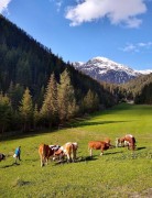 Rifugio di montagna per 4 persone con giardino, Austria, Hopfgarten in Defereggen, Tirolo dell'Est