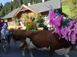 Haus Fuchs-Atzl, Austria, Kelchsau, Hopfgarten im Brixental