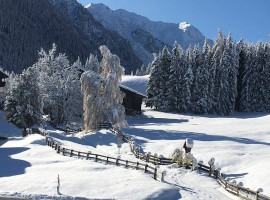 Gästehaus Alpenblick