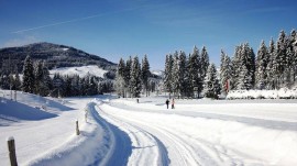 Ferienwohnung für 4 Personen (75 m²) in Kirchberg in Tirol