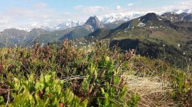 Ferienwohnung für 4 Personen (75 m²) in Kirchberg in Tirol