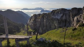 Aparthotel Buchauer.Tirol