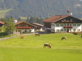 Bauernhof Ellmerer - Familie Mühlberger