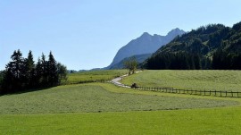 Bauernhof Ellmerer - Familie Mühlberger