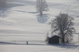 Bauernhof Ellmerer - Familie Mühlberger