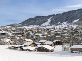 Two rustic chalets for small travel groups