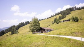 Hütte für 4 Personen (40 m²) in Walchsee