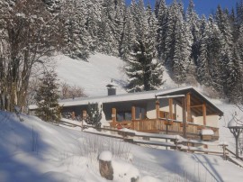 Cozy Chalet in Niederndorf bei Kufstein near Ski Area