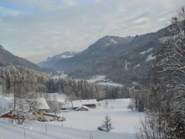 Cozy Chalet in Niederndorf bei Kufstein near Ski Area