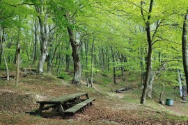 Locazione Turistica Arcobaleno “Appartamento Superior”, Italia, Roccavivara, Provincia di Campobasso